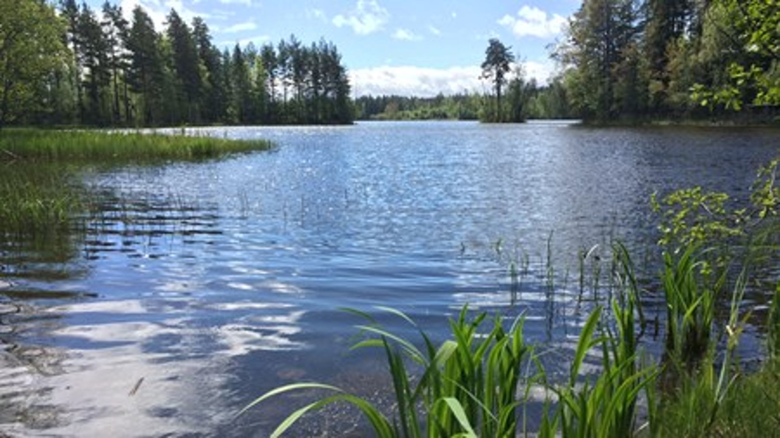 Beslut av länsstyrelsen&nbsp;om utvidgat strandskydd överklagas ofta till regeringen och är ärenden som skapar sysselsättning i&nbsp;regeringskansliet.