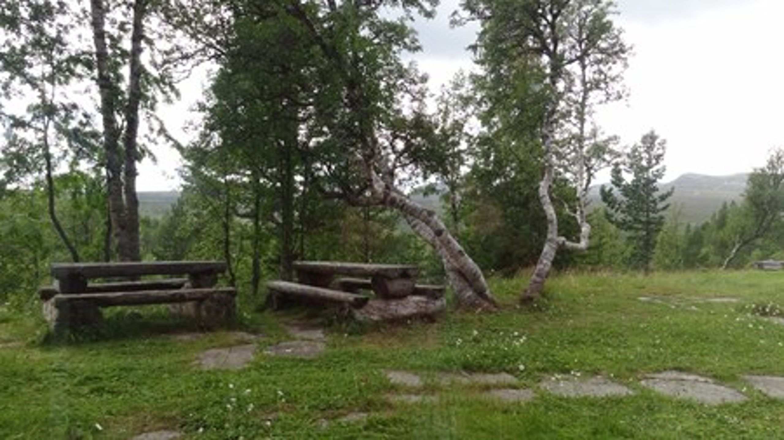 Deltagarna i det nyss avslutade arbetsmarknadsprojektet har bland annat byggt skogsbanor vid skolor, röjt kring löparspår, gjort underhåll i naturreservat och kring vandringsleder. Saker som är meningsfulla, men annars inte skulle ha blivit gjorda, enligt Skogsstyrelsen.