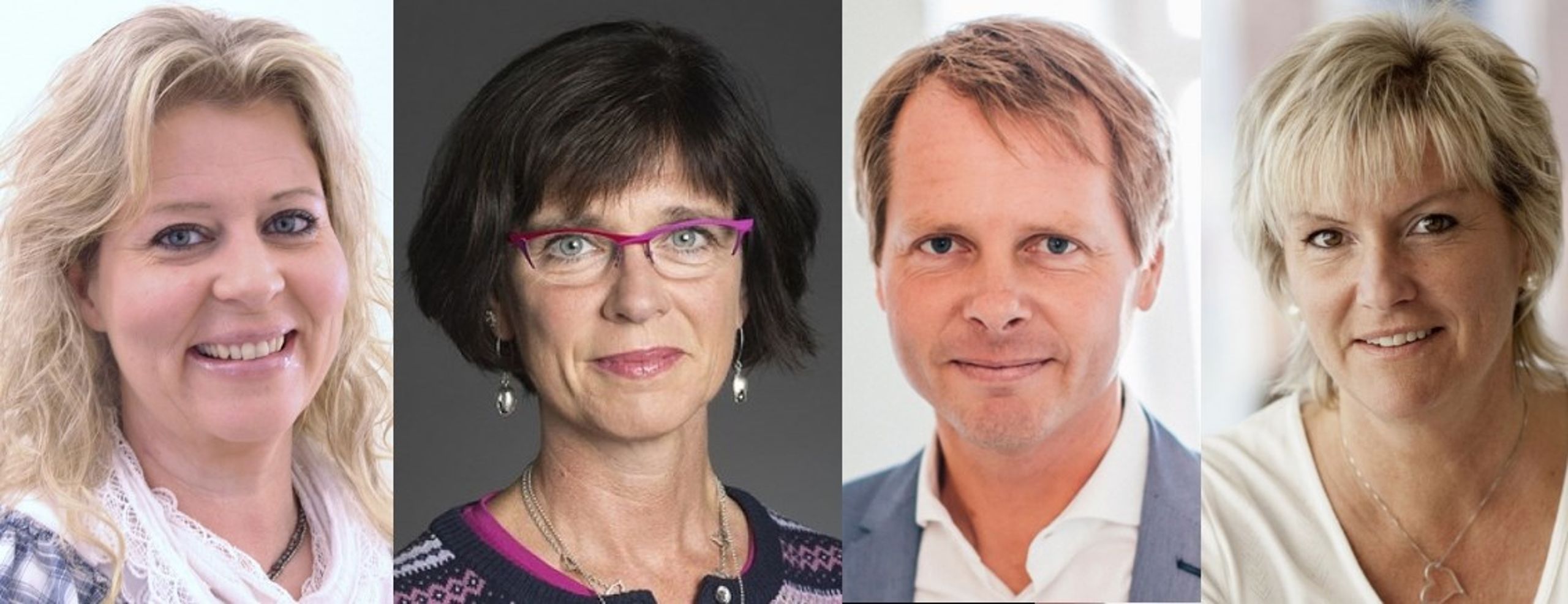 <div>Camilla Waltersson Grönvall (M),&nbsp;Ulrika Carlsson C),&nbsp;Christer Nylander (FP),&nbsp;och&nbsp;Annika Eclund (KD) har enats om sex punkter som de ska driva i riksdagen om skolan.&nbsp;</div>