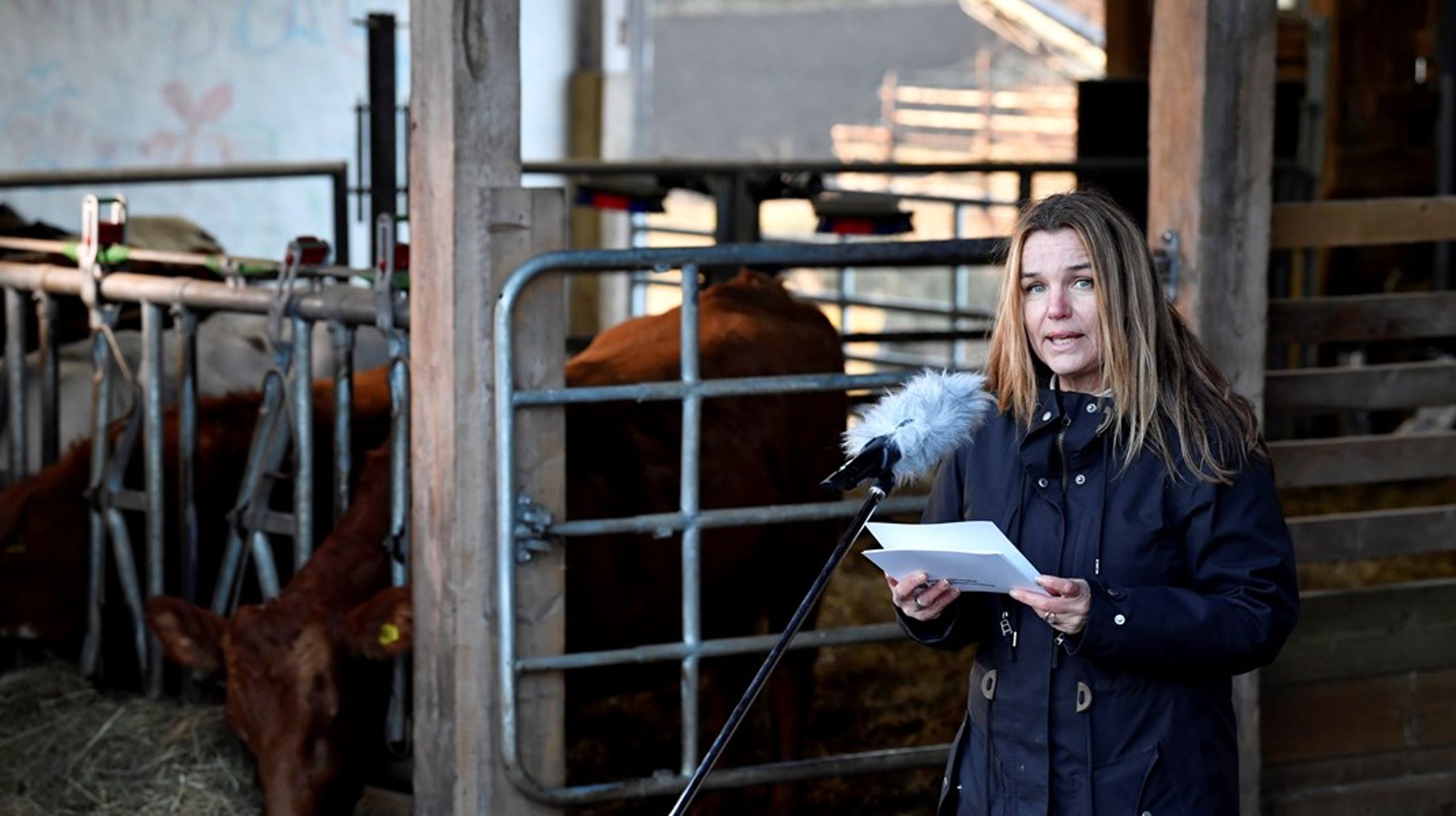 Landsbygdsministern Anna-Caren Sätherberg håller pressträff om jordbrukspolitiken.