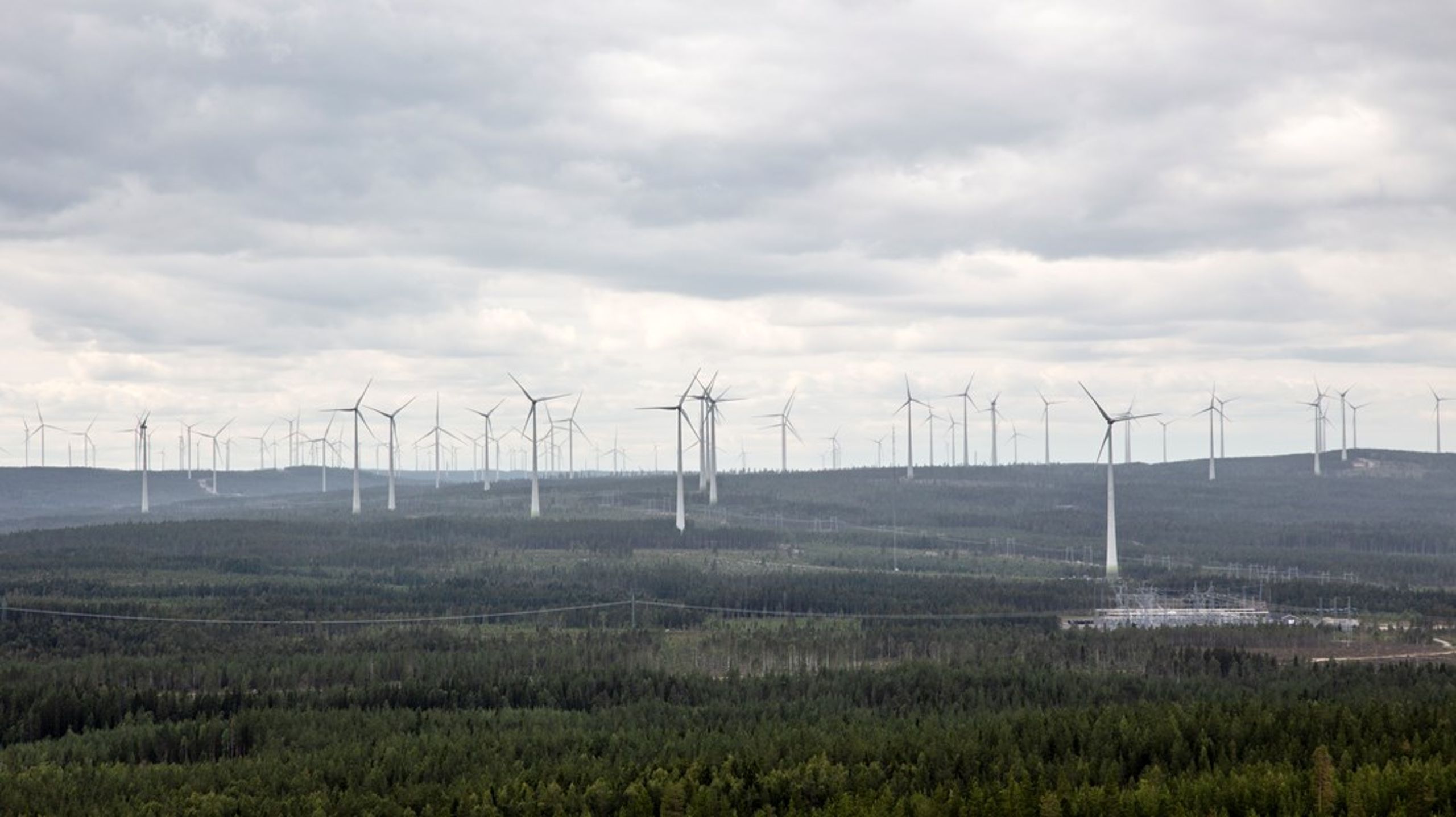 Vindkraftspark i Piteå. I Orsa är det totalt 37 vindkraftverk som invånarna ska ta ställning till i en folkomröstning i juni nästa år.