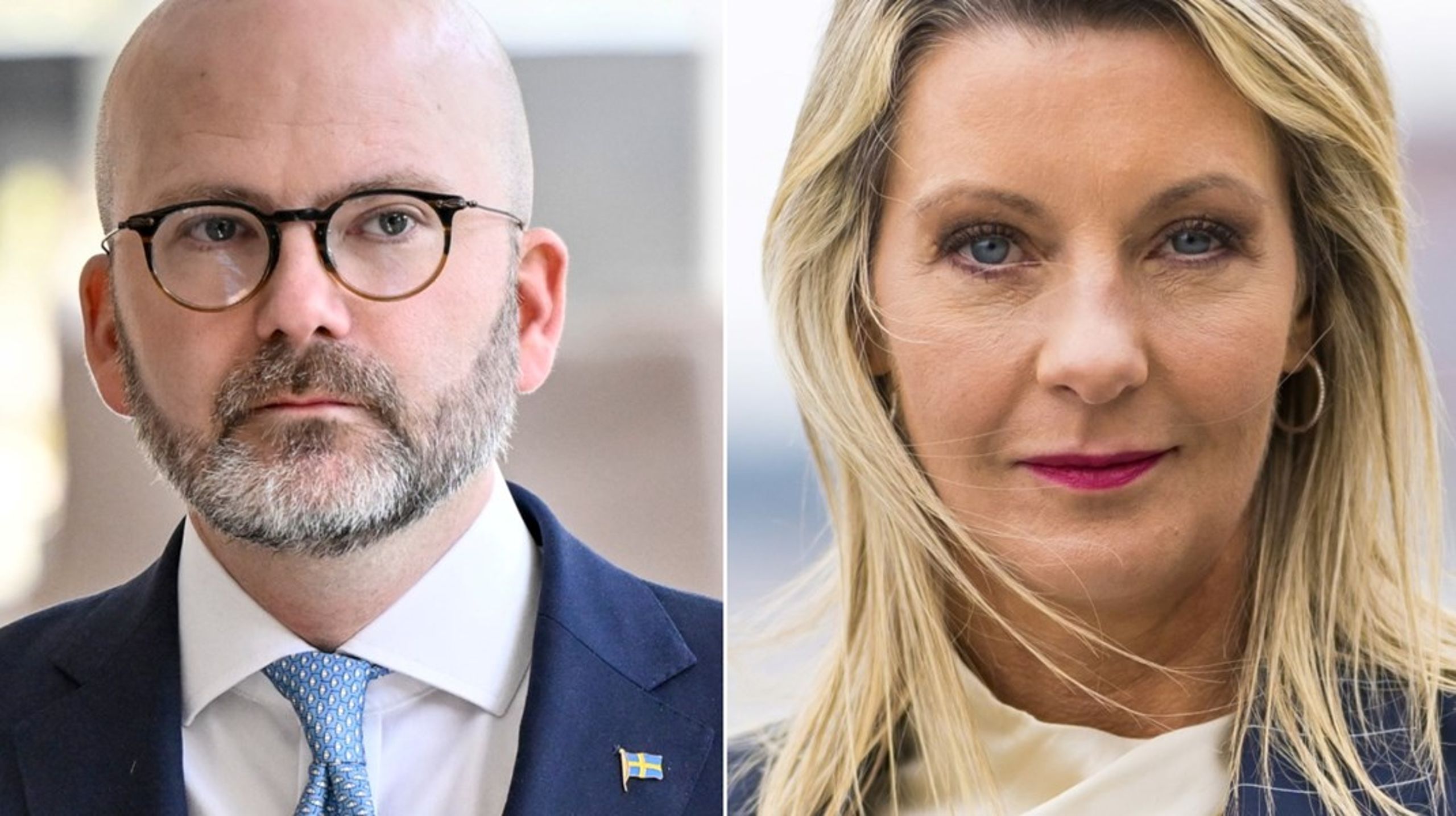 ”I stället för medlemskap vill Sverigedemokraterna att EU ökar handelssamarbetet med länderna på Västra Balkan”, skriver SD-debattörerna.&nbsp;