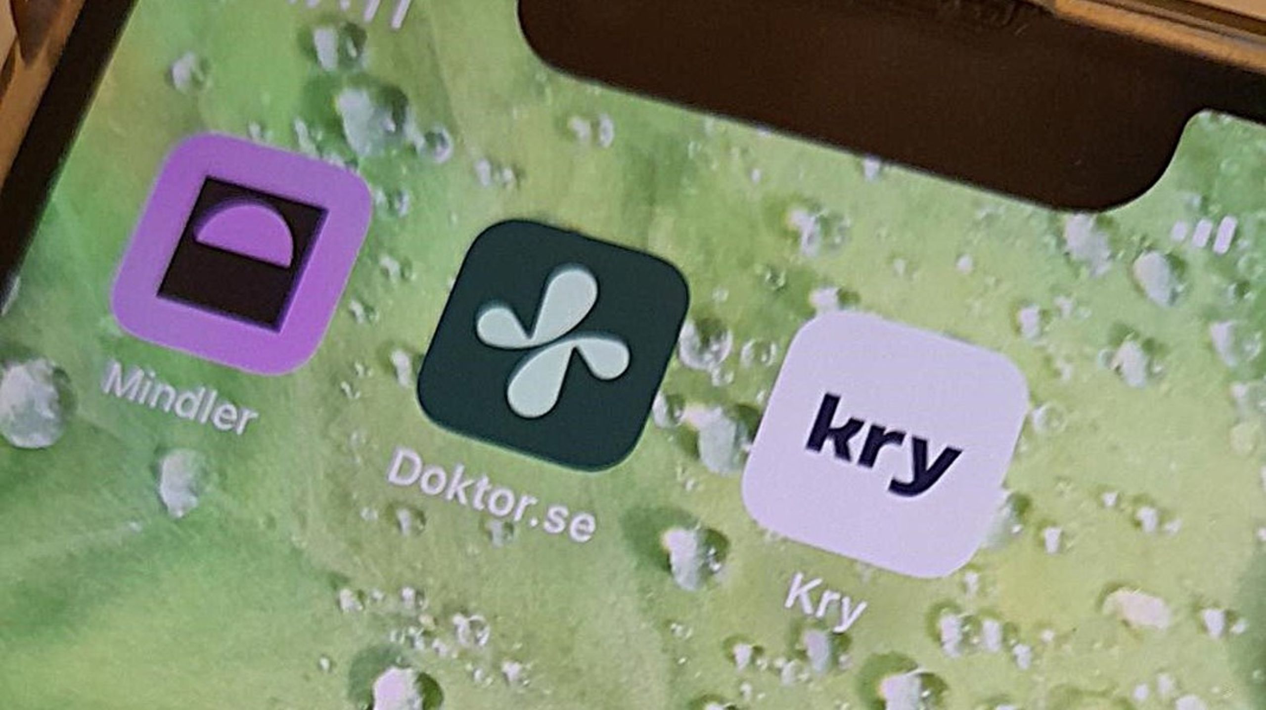 Ersättningen till digitala vårdgivare ökade under första kvartalet i år.