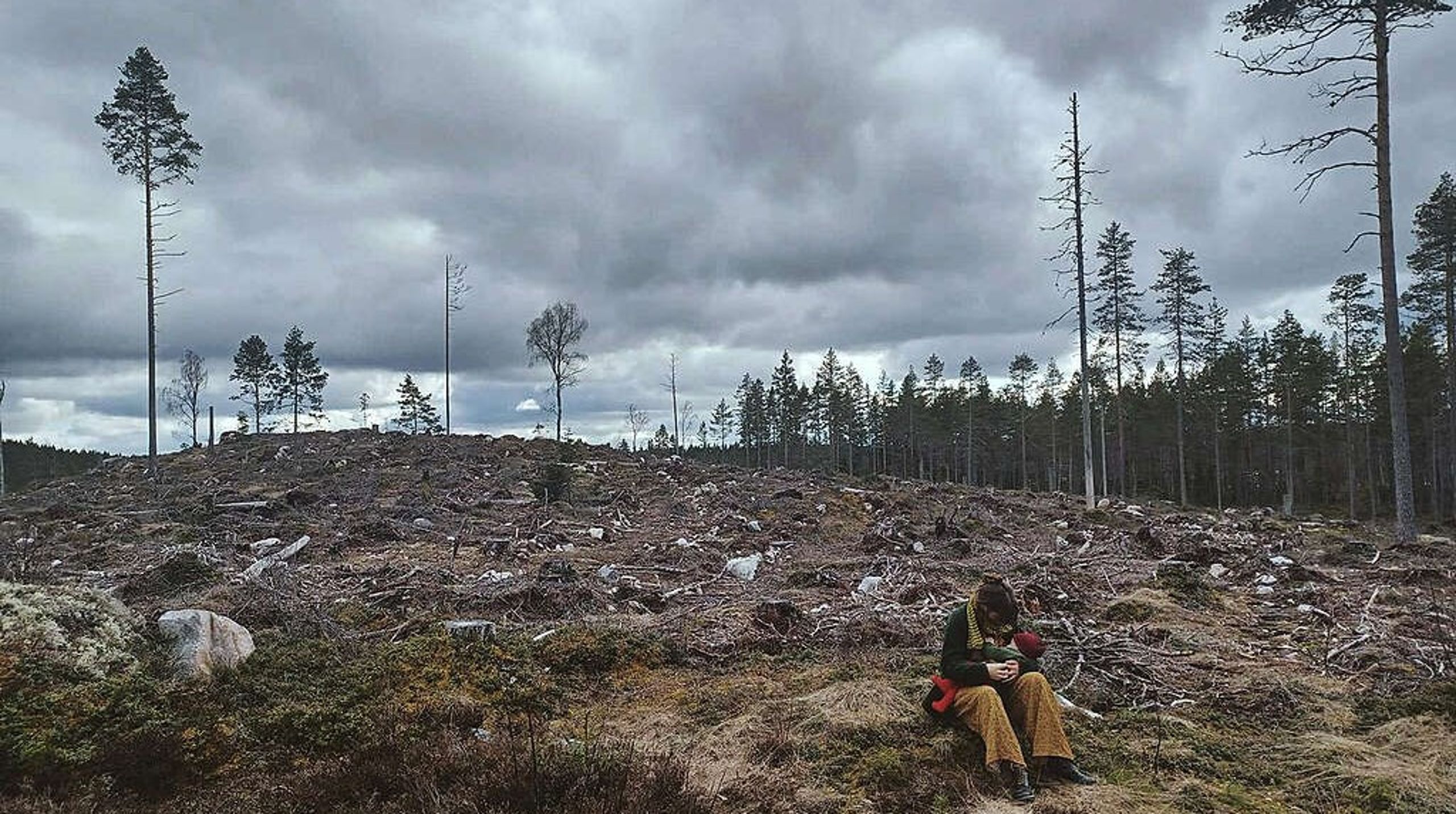 Kanske är det här kalhygget i Gävleborg ett av de fulaste i Sverige? Det tycker i alla fall juryn som har utsett det till en av finalisterna.