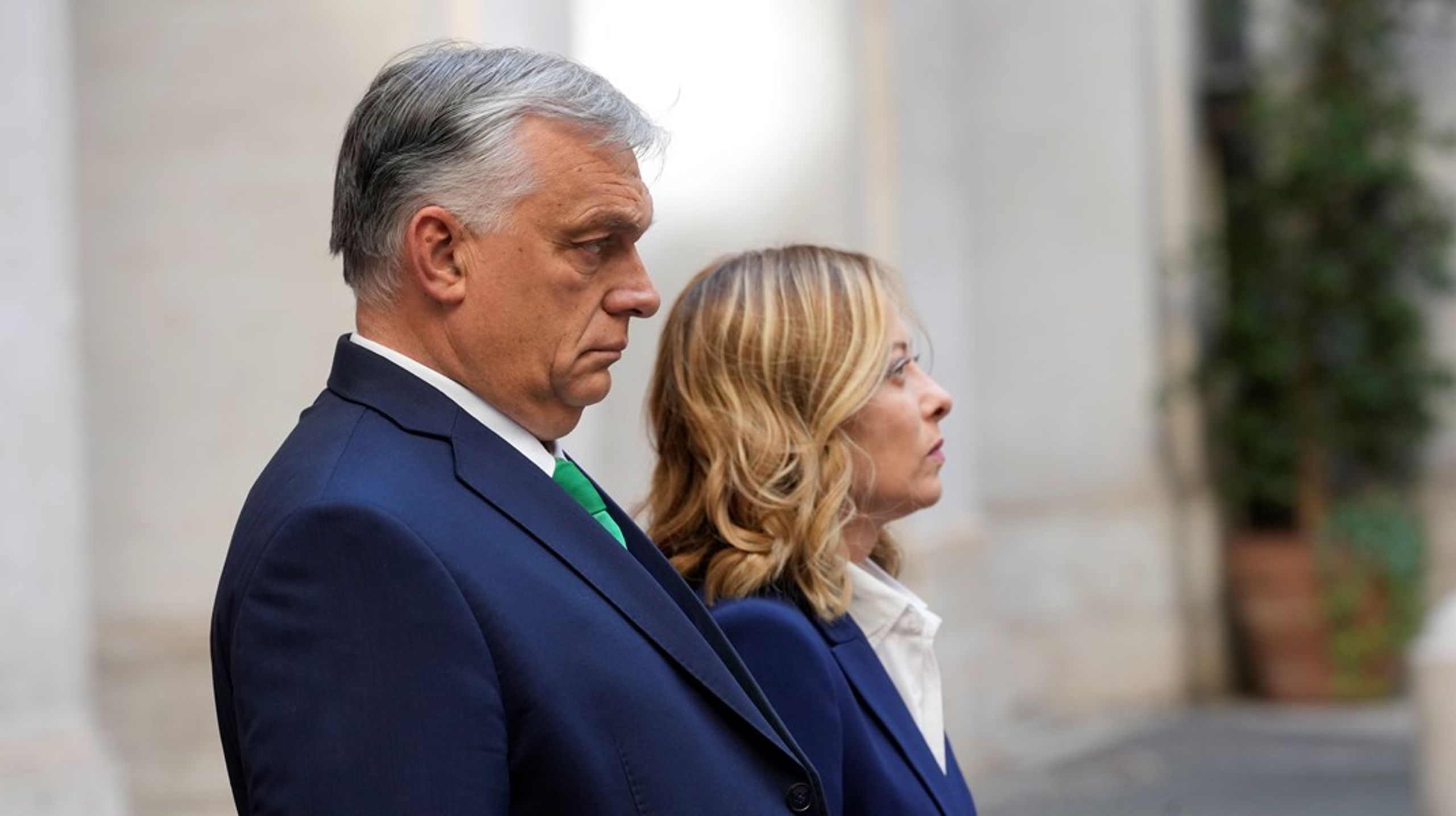 Som en del av en turné inför sitt EU-ordförandeskap besökte Viktor Orbán förra veckan Italiens ledare, Giorgia Meloni, som har mycket gemensamt med hans högernationalistiska åsikter.