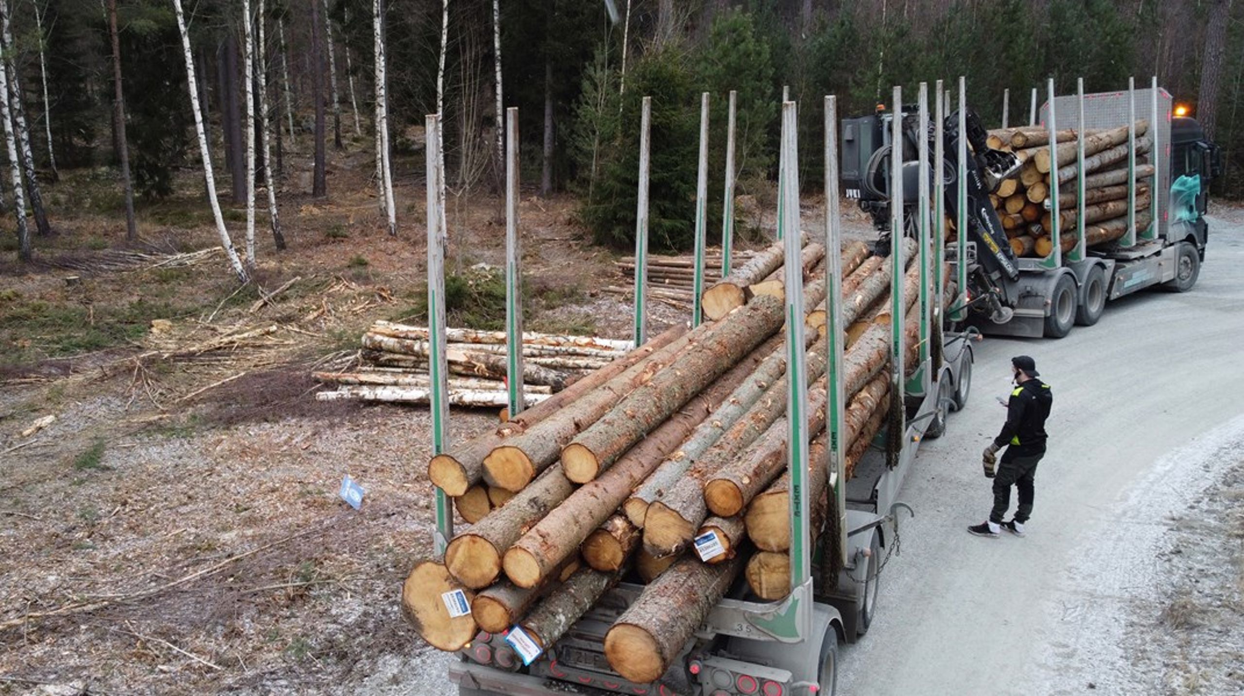 ”De gröna näringarnas behov av att kunna rekrytera utländsk personal grundar sig i en stor brist på arbetskraft inom alla yrkeskategorier, där djurskötare, maskinförare och skogsarbetare sticker ut särskilt”, skriver debattören.&nbsp;