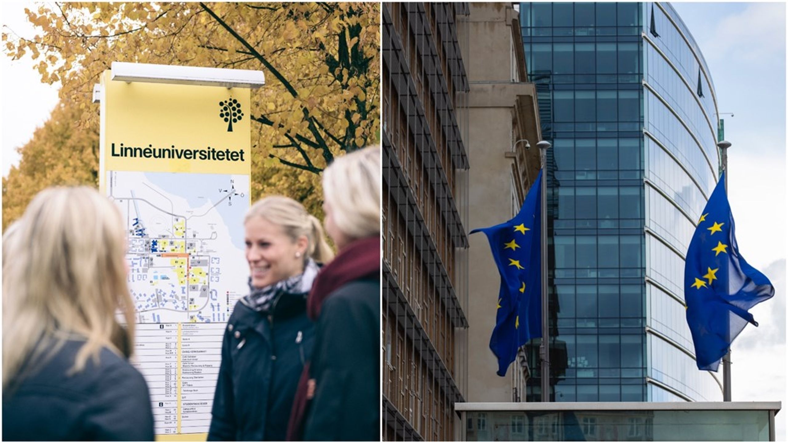 Under månaderna som kommer väntas EU genomföra antagningsprov till jobb inom EU-institutionerna – men svenskar är ovana vid processen. Under EU Boot Camp i Växjö ska deltagarna få information och träning i hur man förbereder sig för proven.&nbsp;