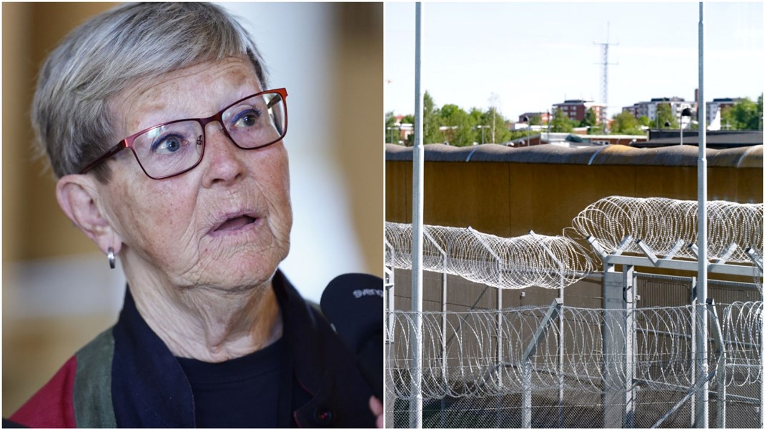 ”Det finns alternativ. Tilliten till gängen kan ersättas med tilliten till ett starkare samhälle som visar att unga har anledning att känna hopp inför framtiden”, skriver Gudrun Nordborg (V), ledamot i Trygghetsberedningen.