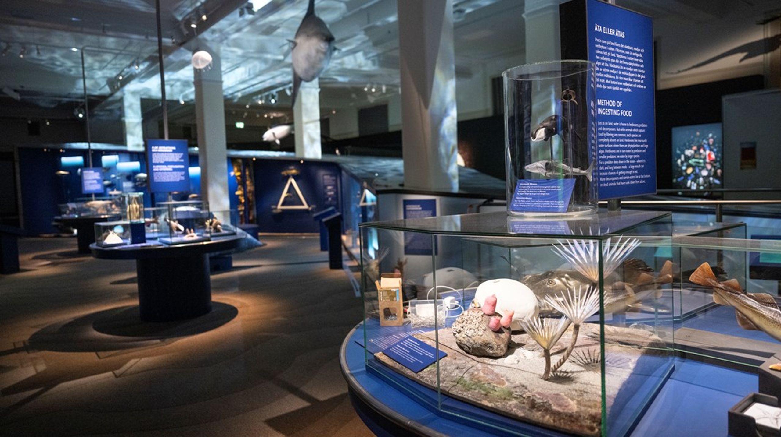 Hyreshöjningar kan också medföra att underhåll eller verksamhetens kvalitet eroderas med tiden, och det är väl exakt det som hänt med Naturhistoriska riksmuseet, skriver debattören.