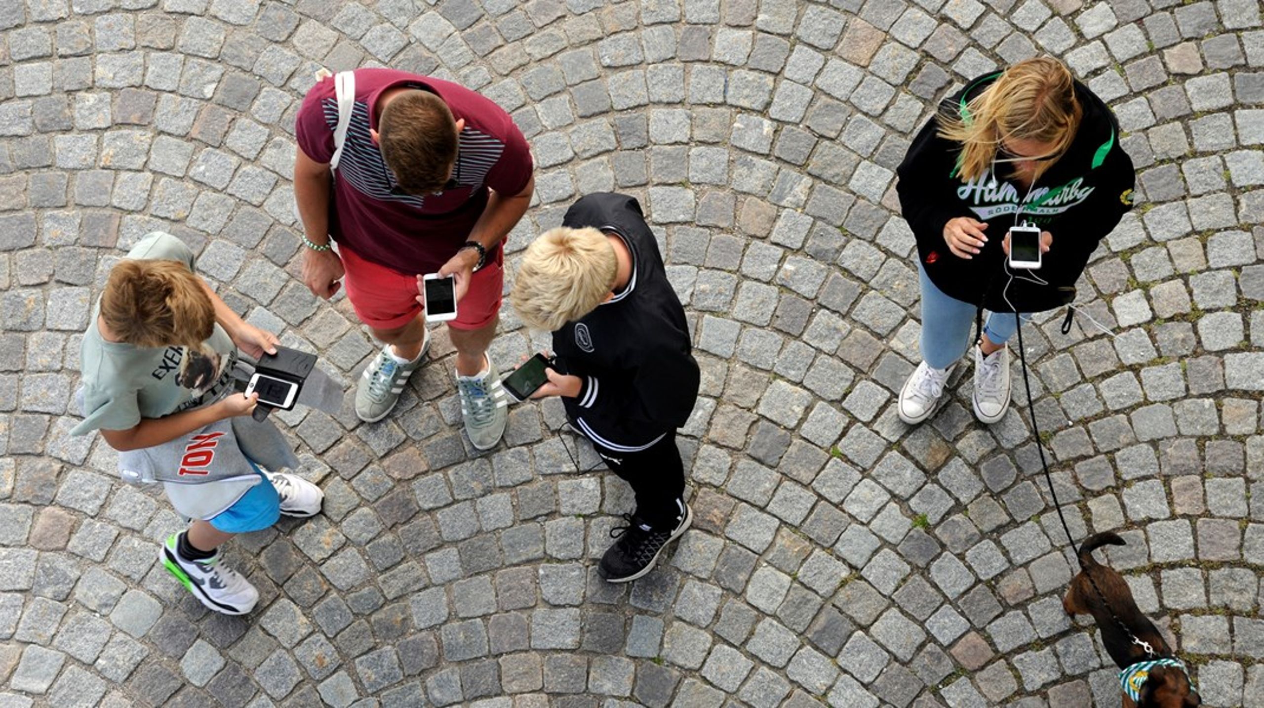 Mobilfria zoner i det offentliga rummet? Det är något lagstiftarna borde fundera på, anser en av WHO:s experter.