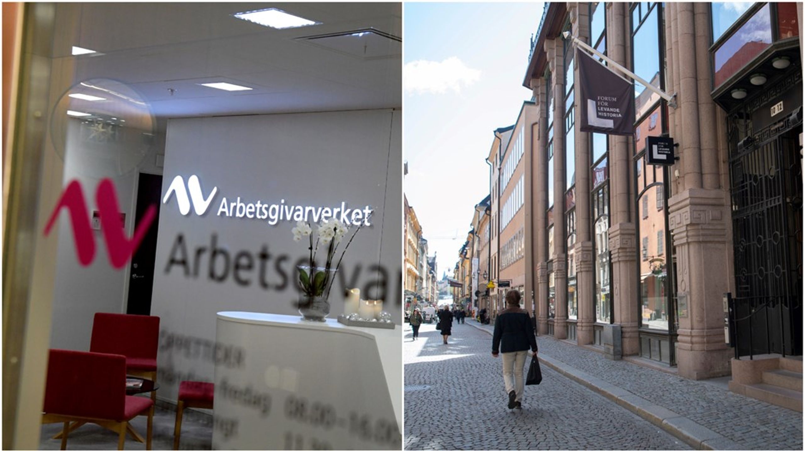 Utredaren Ulf Bengtssons tidigare arbetsplats Arbetsgivarverket och Forum för levande historia är några av myndigheterna som ingår i översynen.