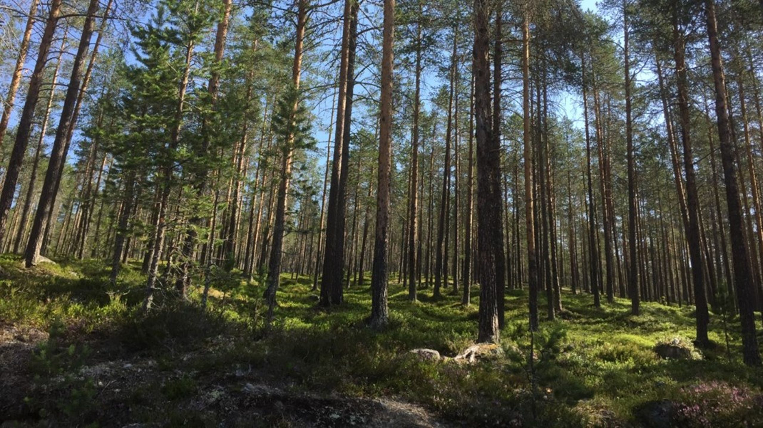 Miljömålsberedningens deadline skjuts fram.