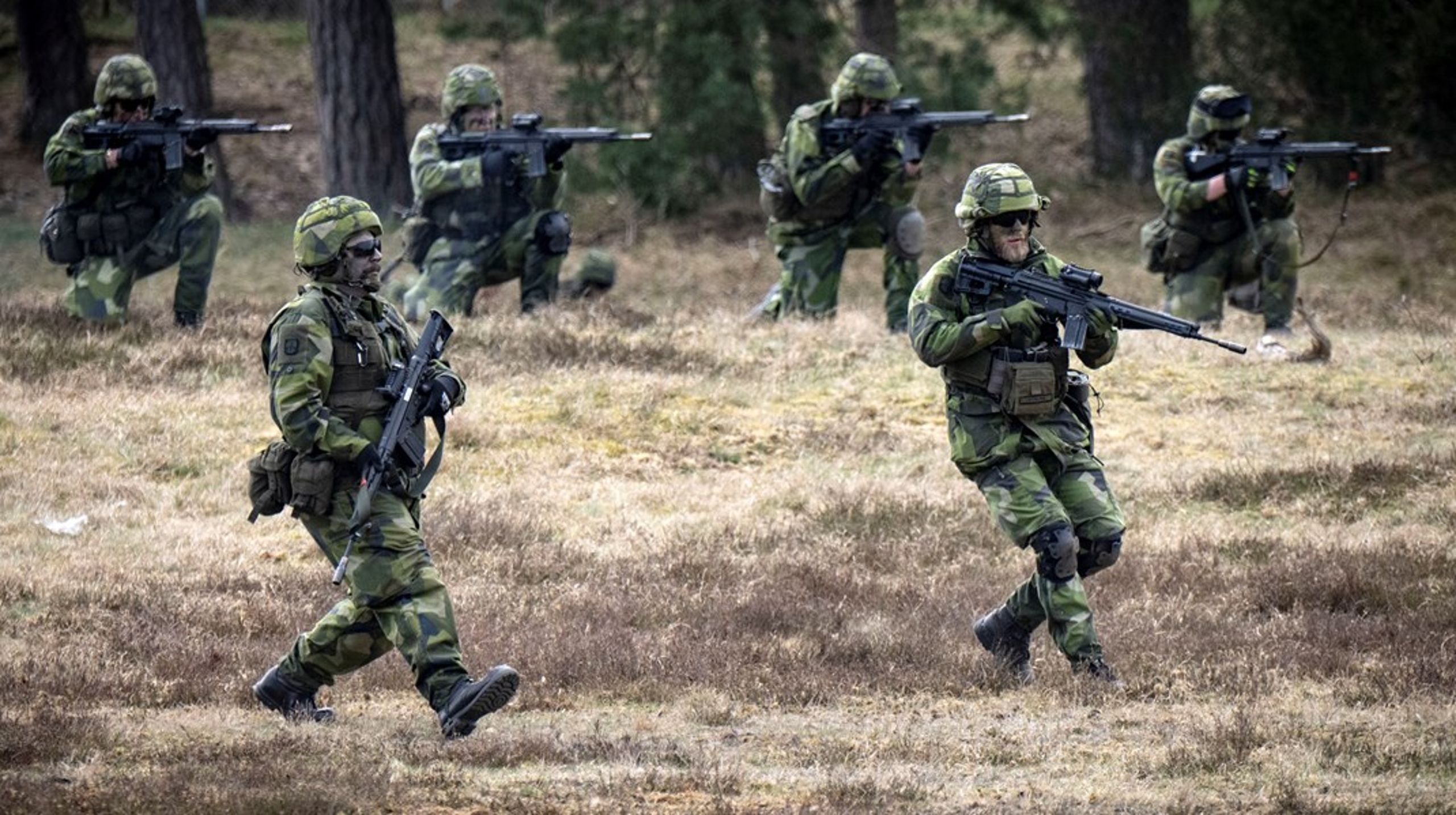 Användning av handeldvapen. Revingehed i Skåne.