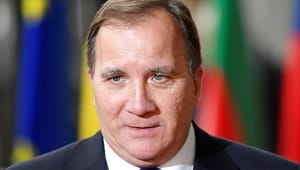 Tufft år väntar för Löfven