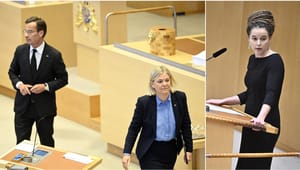S till attack mot SD i riksdagens partiledardebatt