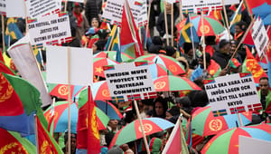 L: EU måste agera mot Eritreas förtryck och infiltration i Europa