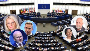 Här är Sveriges EU-parlamentariker