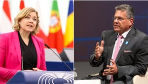 EU-ländernas kandidater till nästa kommission rullar in