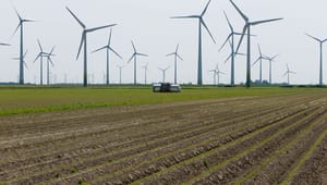 Advokater kräver att regeringen ändrar vindkraftsvetot