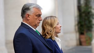 Orbán kommer ”köra sin show” i EU:s ledning – men hur mycket skada kan han göra?