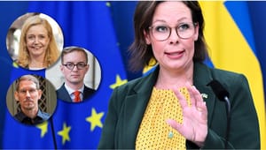 Dina siffror är ett misslyckande för Sverige, Malmer Stenergard