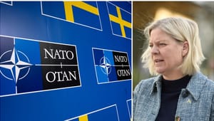 Socialdemokraternas kovändning om Nato blev avgörande för opinionsskiftet