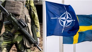 Rysk ambassadör: Nato har inget intresse av att stoppa kriget i Ukraina 