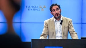 Förslag på grundlagsskyddad aborträtt får vänta