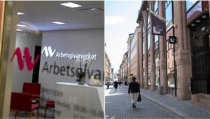 Regeringen skjuter fram myndighetsöversyn