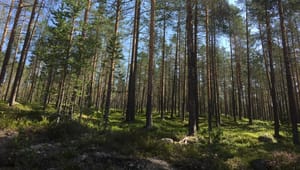 Regeringen ger stormig utredning mer tid