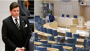 Talmannen om tomatattacken: ”Oacceptabel och direkt antidemokratisk”