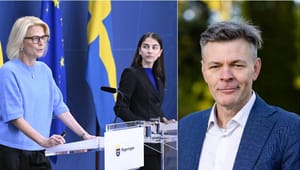 Är Svantesson och Pourmokhtari okunniga eller vilseledande?