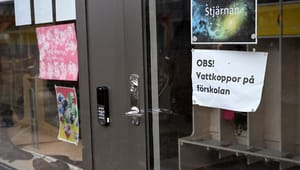 S: Inkludera vattkoppsvaccin i programmen redan nästa år