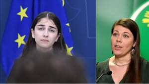 Kommer du avgå, Romina Pourmokhtari?