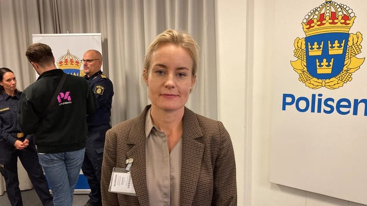 Skatteverkets expert vill vässa verktygen mot kriminella – ”Vi har munkavel”