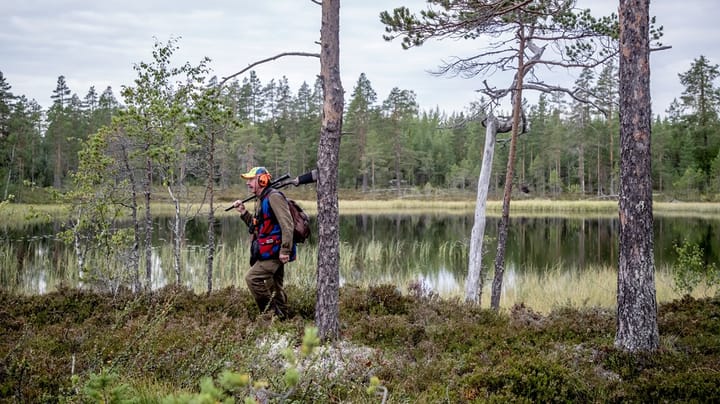 Regeringen vill skärpa skyddet för jakten