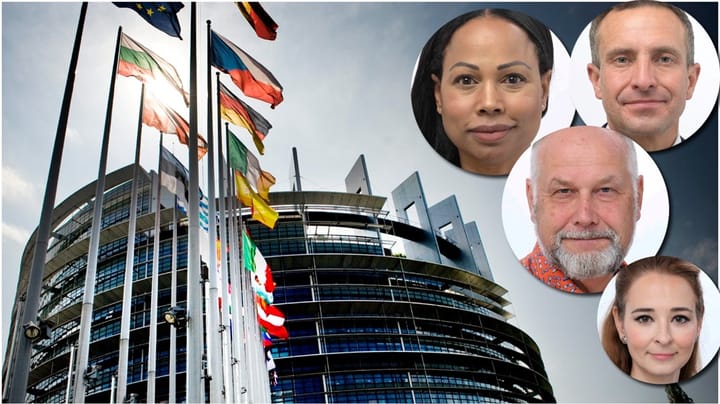 Beslutat: Här är Sveriges EU-parlamentarikers utskott 