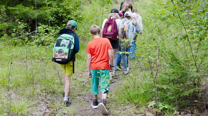 Beräkningar från friluftslivet: Naturpengar har halverats