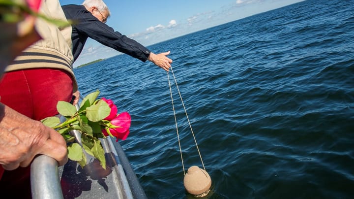 Flera riksdagsledamöter vill utreda dödshjälp