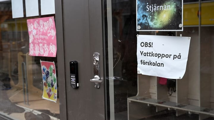 S: Inkludera vattkoppsvaccin i programmen redan nästa år